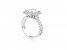 http://davidoffdiamonds.com/sites/default/files/imagecache/product_full/R2047C.jpg