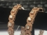 https://davidoffdiamonds.com/sites/default/files/imagecache/product_full/E2206.jpg